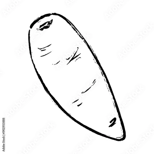 Obraz 筆で描いた人参のイラスト