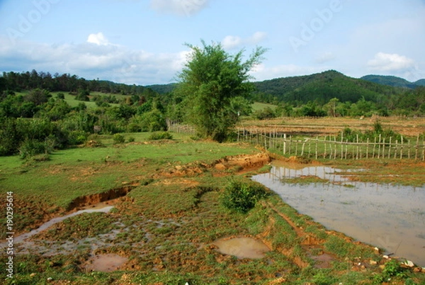 Obraz Rice paddy fields near the Plain of Jars archaeological site. The fields conceal a hidden danger from unexploded bombs from the Vietnam War which still kill and injure many to this day.