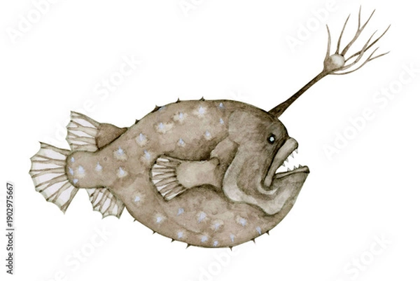 Obraz チョウチンアンコウ アンコウ　深海魚 深海生物　水彩 イラスト
