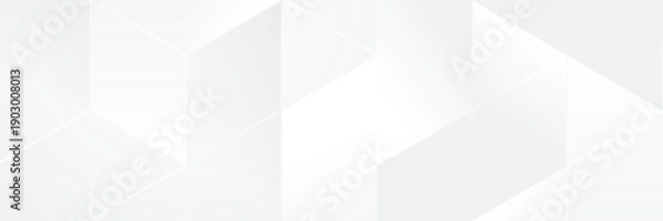 Obraz Abstract pattern white geometric banner design background.