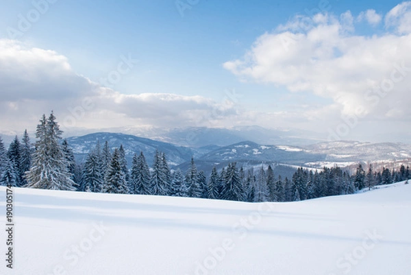 Obraz Winter mountains whith white hills, trees, blue sky whith clouds