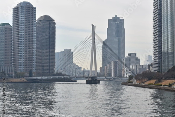 Obraz 隅田川の風景