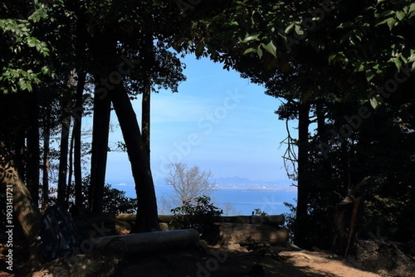 Obraz 長等山山頂付近の茂みと琵琶湖の風景