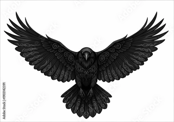 Obraz 漆黒のカラス、翼を広げた優美な姿のイラスト