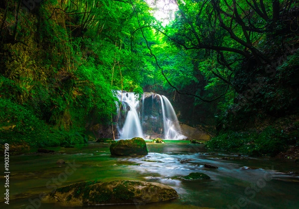 Obraz 【千葉県】田代滝