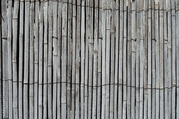 Obraz 古い竹垣　竹の壁