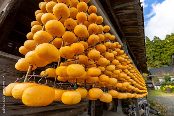 Obraz 佐渡の干し柿