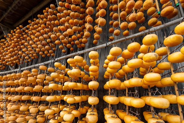 Obraz 佐渡の干し柿