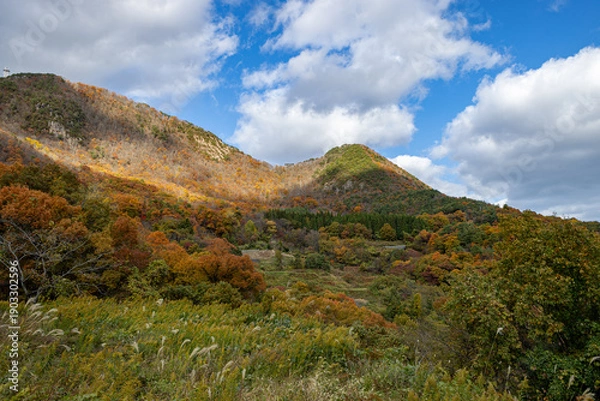 Obraz 佐渡の紅葉山公園
