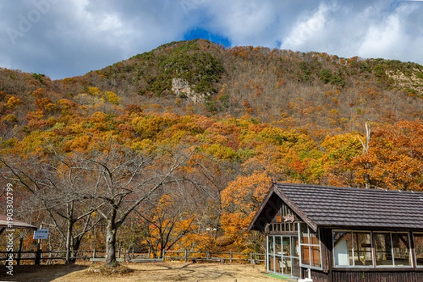 Obraz 佐渡の紅葉山公園