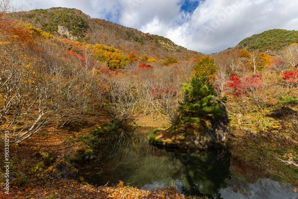 Obraz 佐渡の紅葉山公園
