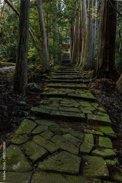 Obraz 佐渡清水寺