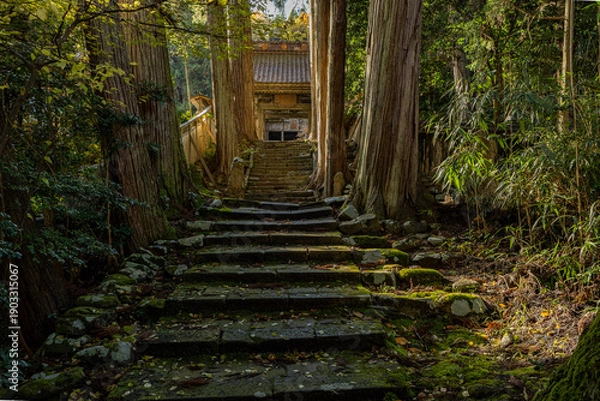 Obraz 佐渡清水寺