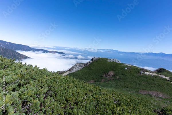 Obraz 中央アルプス・空木岳の稜線から望む広大な雲海とハイマツの群落
