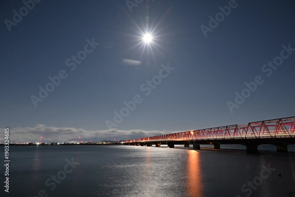 Obraz 月夜の揖斐長良大橋