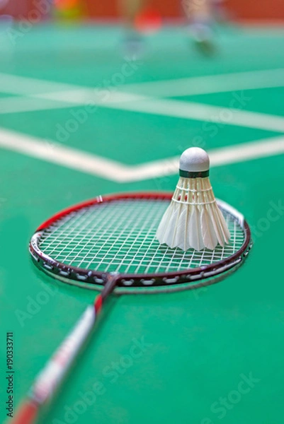 Fototapeta shuttlecock and badminton racket in  court