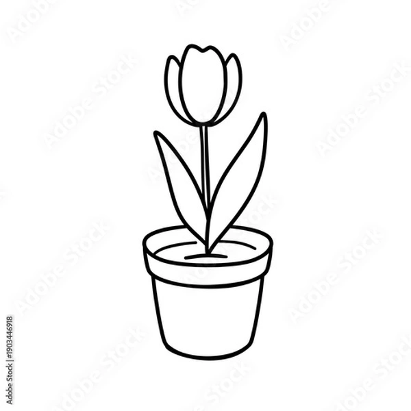 Obraz Tulip in a pot