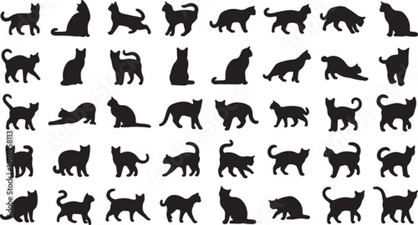 Obraz Cat Silhouette Isolated Animal Vector Pack