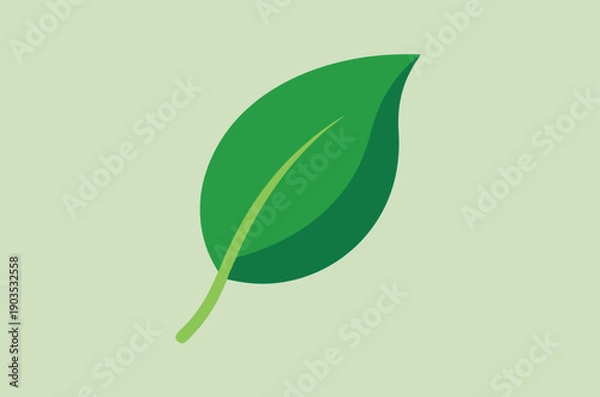 Obraz Single Green Leaf with Stem on Light Green Background