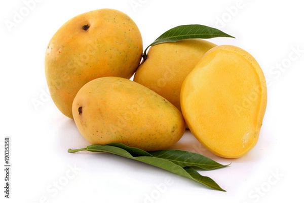 Obraz Ripe mangoes on white