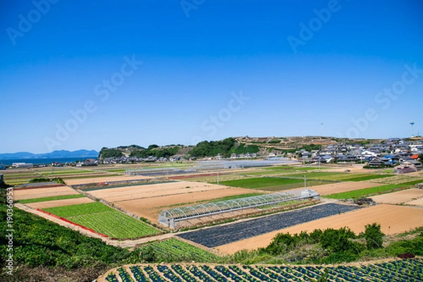 Obraz 日本の農業