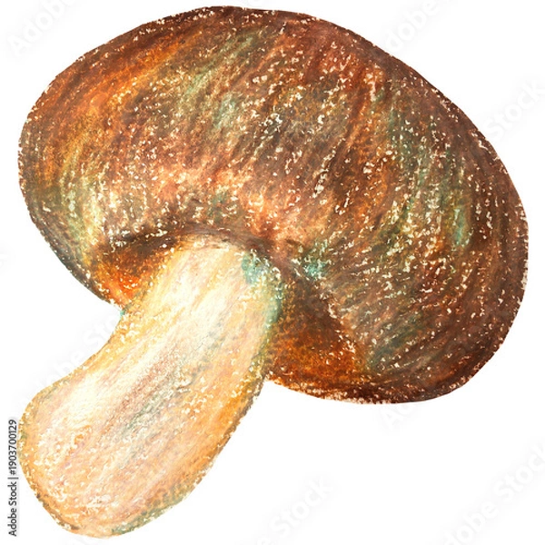 Obraz 椎茸のイラスト オイルパステル画