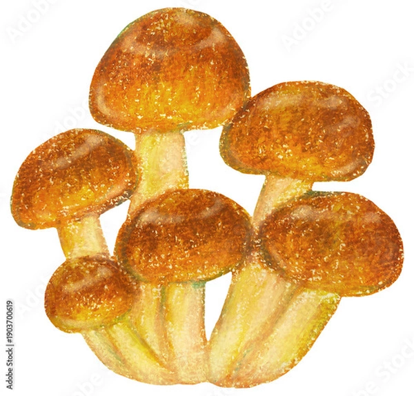 Obraz なめこのイラスト オイルパステル画