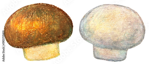 Obraz マッシュルームのイラスト オイルパステル画