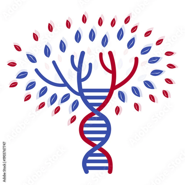Fototapeta Genetic tree. Vector DNA symbol.