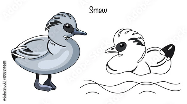 Obraz Smew
