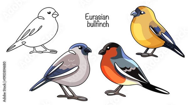 Obraz Eurasian bullfinch