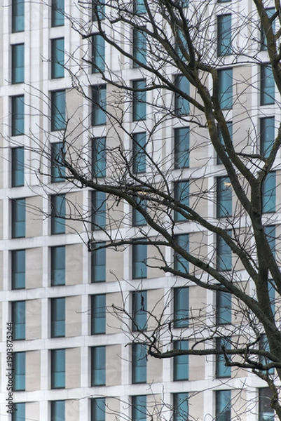 Obraz Baum vor Hochhaus