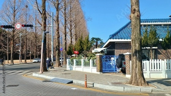 Obraz 창원가로수길