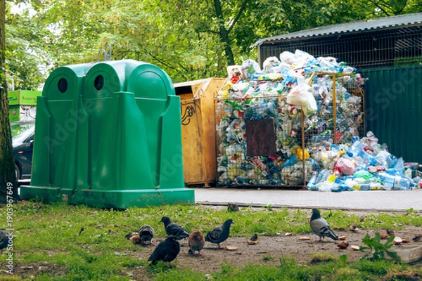 Obraz Śmietnik