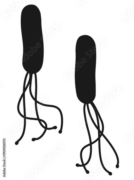 Obraz ピロリ菌シルエット