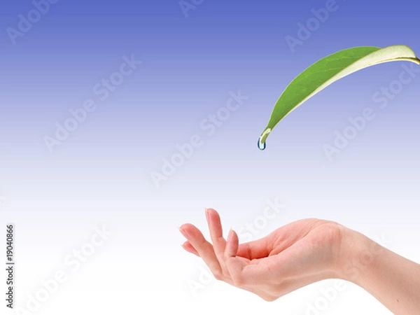 Obraz Wpadnij w dłoń