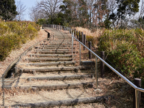Obraz 冬の昼の名古屋市の東山植物園の観光道路の階段の様子