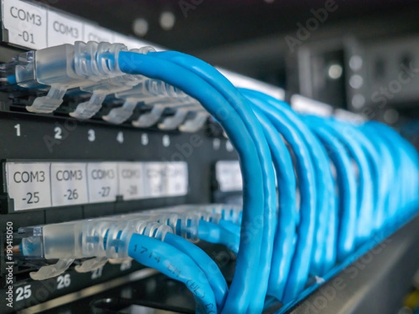 Obraz Ethernet cables and path panel in rack cabinet