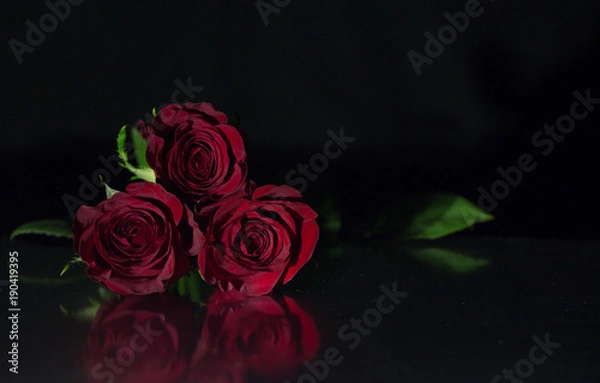 Obraz Plants and Flowers