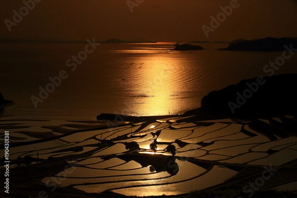 Obraz 棚田のある景色