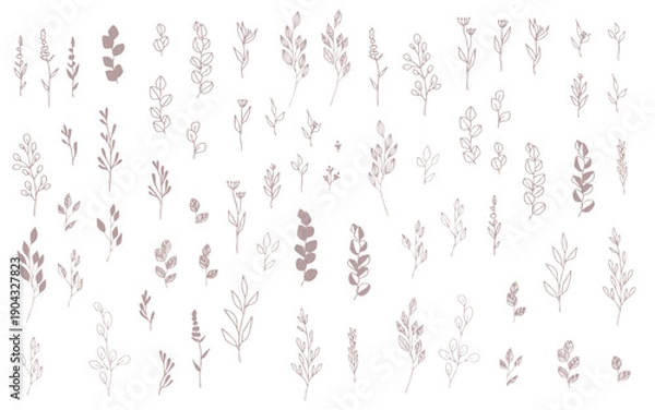 Obraz セピア色の手描きの植物のパーツセット。