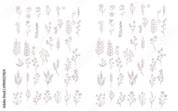 Obraz 落ち浮いた色の素朴な手描きの植物のパーツセット。