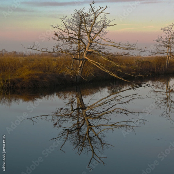 Obraz Well, look at me!