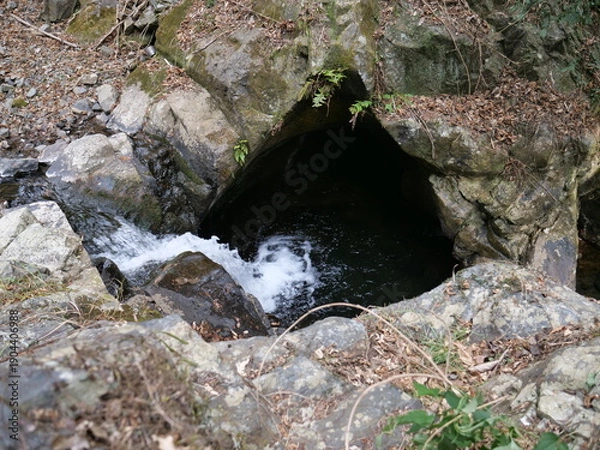 Obraz 山の沢水が流れ込む岩の天然水たまり