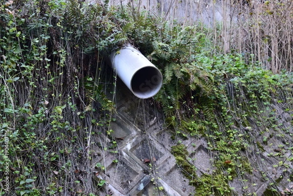 Obraz 斜面に設置された排水管とシダ植物に覆われた法面