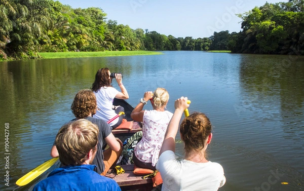 Fototapeta A group of wildlife surveyors canoes through the canals of Tortuguero National Park, Costa Rica.