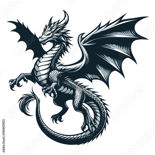 Fototapeta Dragon vector and illustration.