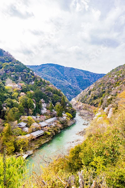 Obraz 京都府　嵐山公園の桜風景