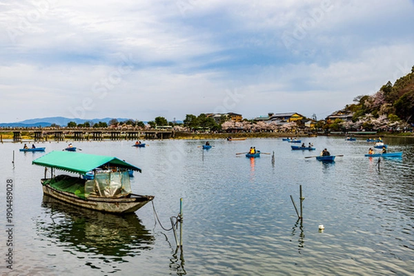 Obraz 京都府　嵐山公園の桜風景