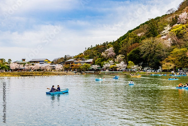 Obraz 京都府　嵐山公園の桜風景